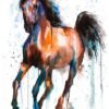 Brown and Black Horse watercolor painting print by Slaveika Aladjova