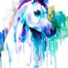 Arabian horse watercolor painting print by Slaveika Aladjova