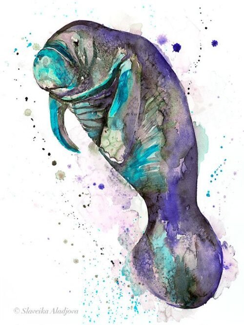 Blue Manatee watercolor painting print by Slaveika Aladjova