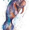 Manatee watercolor painting print by Slaveika Aladjova