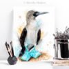Blue-footed Booby watercolor painting print by Slaveika Aladjova