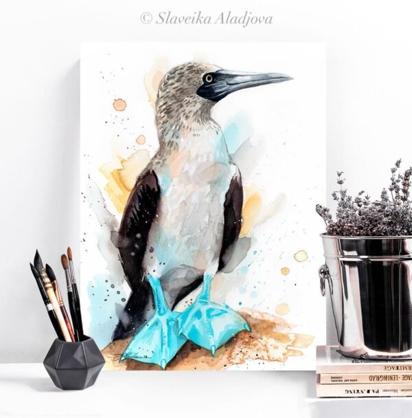 Blue-footed Booby watercolor painting print by Slaveika Aladjova