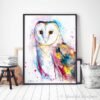 Barn owl watercolor painting print by Slaveika Aladjova