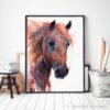 Brown Arabian Horse watercolor painting print by Slaveika Aladjova