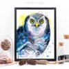 Northern hawk owl watercolor painting print by Slaveika Aladjova Northern hawk owl watercolor painting print by Slaveika Aladjova