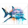 Great white shark watercolor painting print by Slaveika Aladjova