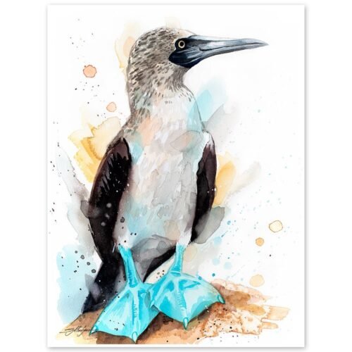 Blue-footed Booby watercolor painting print by Slaveika Aladjova