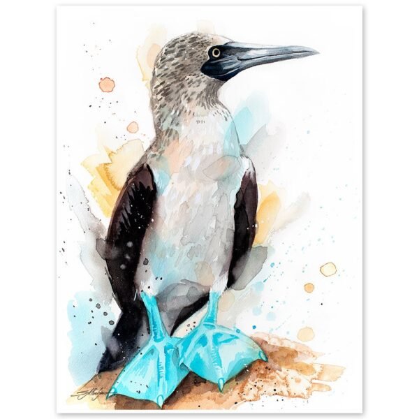 Blue-footed Booby watercolor painting print by Slaveika Aladjova