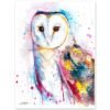 Barn owl watercolor painting print by Slaveika Aladjova