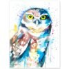 Burrowing owl watercolor painting print by Slaveika Aladjova