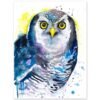 Northern hawk owl watercolor painting print by Slaveika Aladjova Northern hawk owl watercolor painting print by Slaveika Aladjova