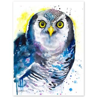 Northern hawk owl watercolor painting print by Slaveika Aladjova