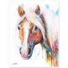 Haflinger horse, Avelignese watercolor painting print by Slaveika Aladjova Haflinger horse, Avelignese watercolor painting print by Slaveika Aladjova