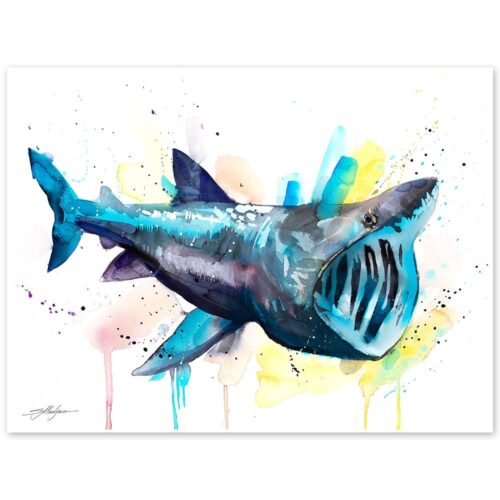 Basking shark watercolor painting print by Slaveika Aladjova