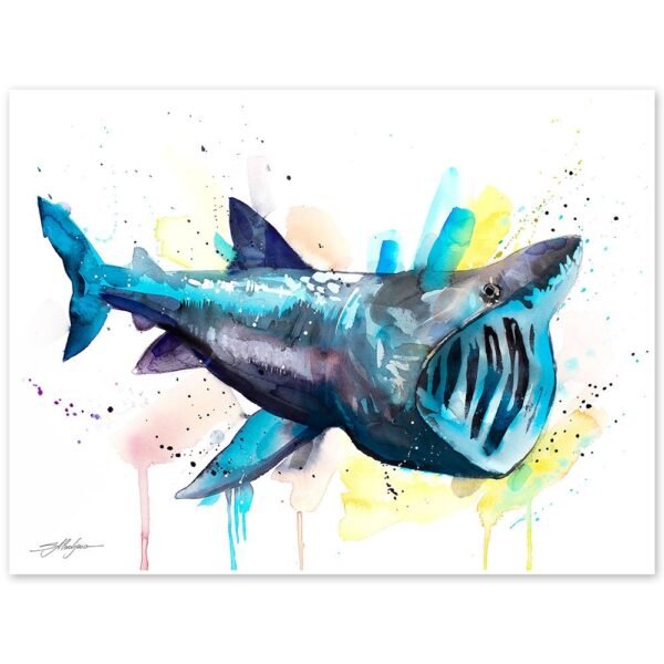 Basking shark watercolor painting print by Slaveika Aladjova