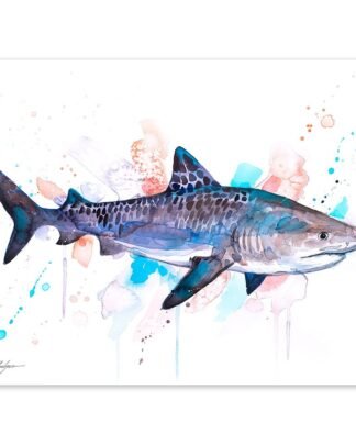 Tiger shark watercolor painting print by Slaveika Aladjova
