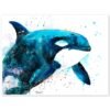 Orca watercolor painting print by Slaveika Aladjova