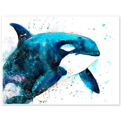 Orca watercolor painting print by Slaveika Aladjova