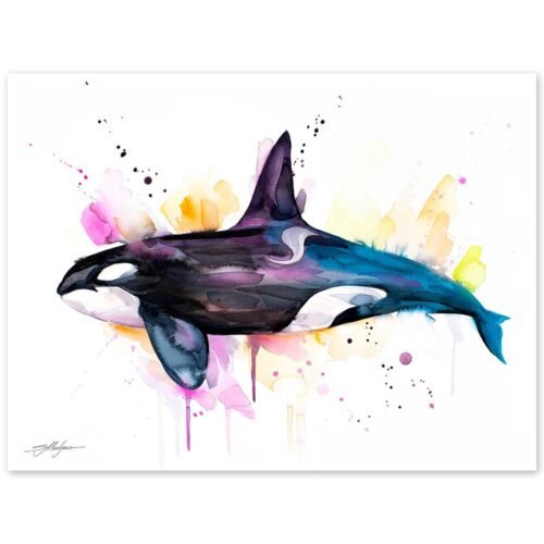 Killer whale watercolor painting print by Slaveika Aladjova