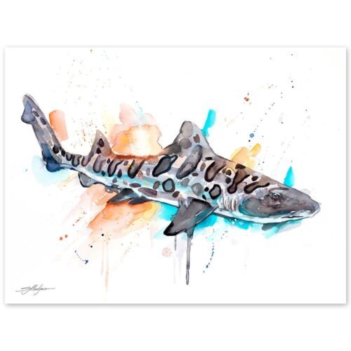 Leopard shark watercolor painting print by Slaveika Aladjova