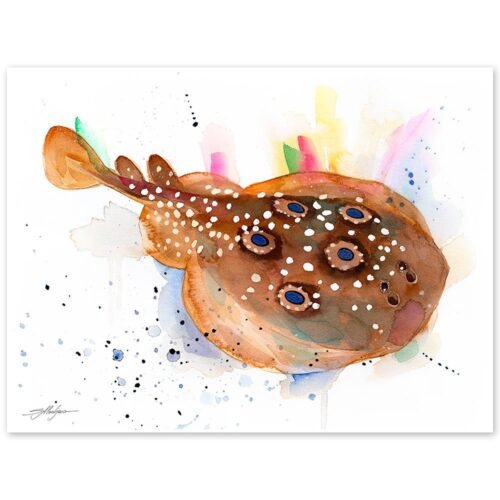 Common torpedo ray, Eyed electric ray watercolor painting print by Slaveika Aladjova