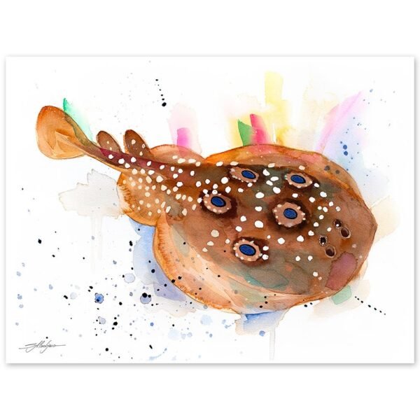 Common torpedo ray, Eyed electric ray watercolor painting print by Slaveika Aladjova