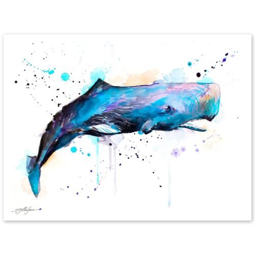 Sperm whale watercolor painting print by Slaveika Aladjova