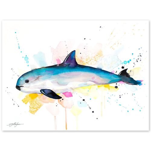 Vaquita watercolor painting print by Slaveika Aladjova