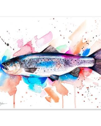 Atlantic salmon watercolor painting print by Slaveika Aladjova