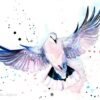 Dove
