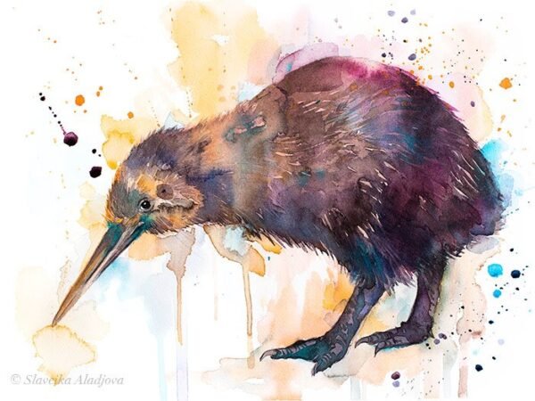Kiwi