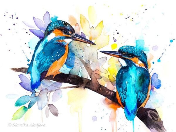 Kingfisher