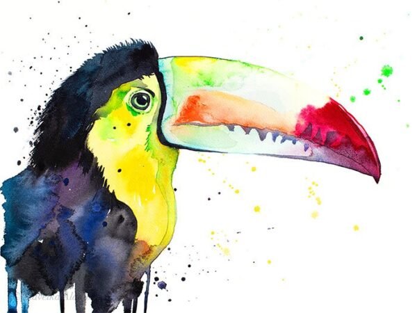 Keel-Billed Toucan