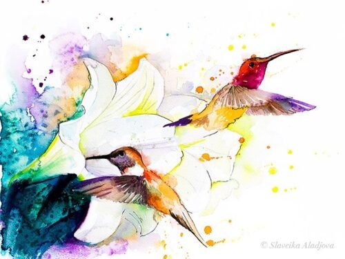 Hummingbirds