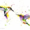 Hummingbirds Hummingbirds