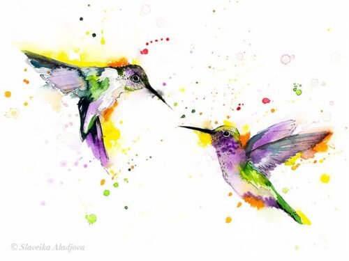 Hummingbirds