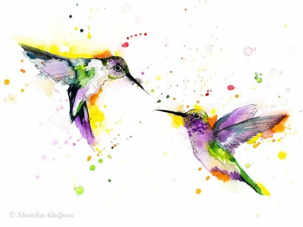 Hummingbirds Hummingbirds