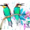 Bee-eater Bee-eater