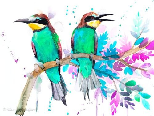 Bee-eater