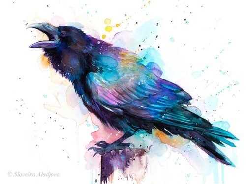 Raven