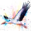 Stork Stork