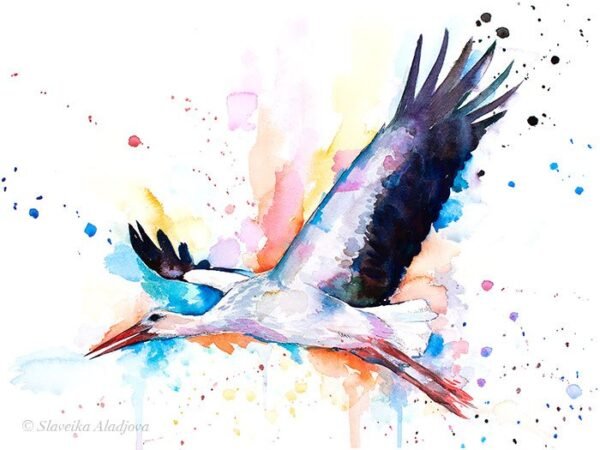 Stork Stork