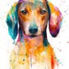 Red Dachshund watercolor painting print by Slaveika Aladjova