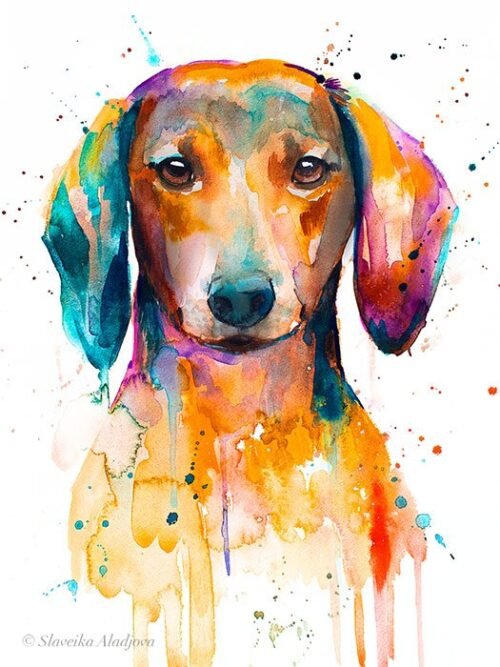 Red Dachshund watercolor painting print by Slaveika Aladjova