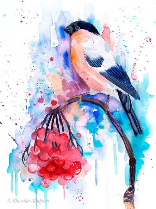 Bullfinch