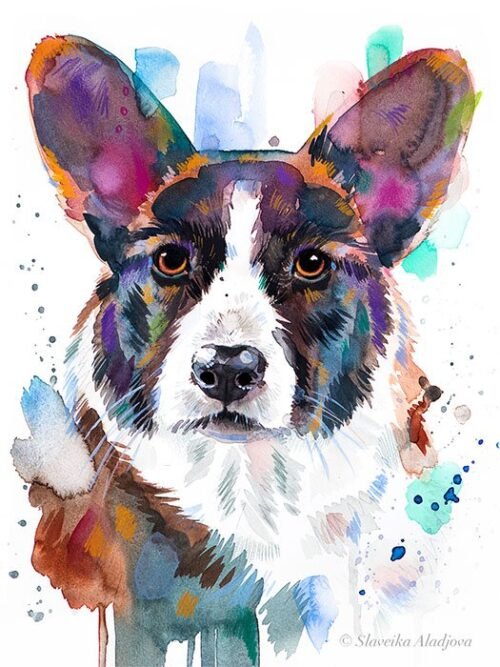 Cardigan Welsh Corgi