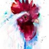 White Rooster White Rooster