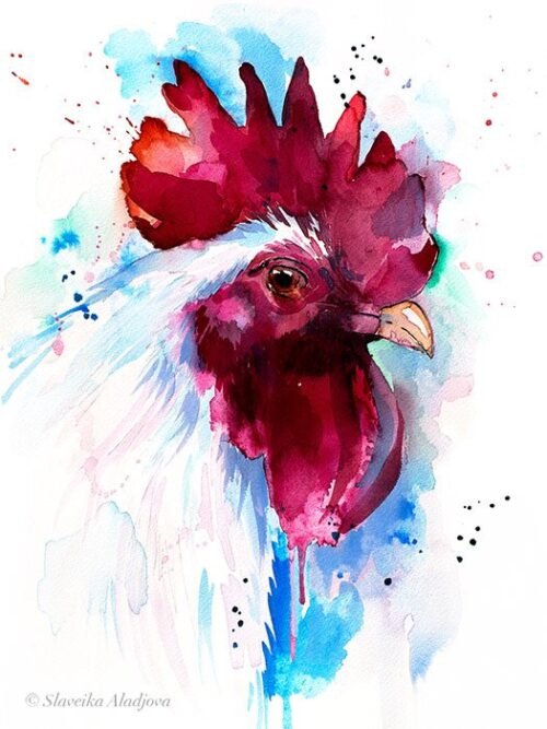 White Rooster