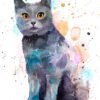 Chartreux cat watercolor painting print by Slaveika Aladjova Chartreux cat watercolor painting print by Slaveika Aladjova