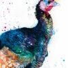 Turkey bird